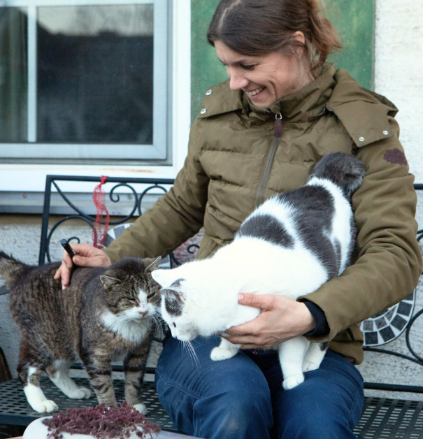 Über mich tierheilpraxis heilmeier